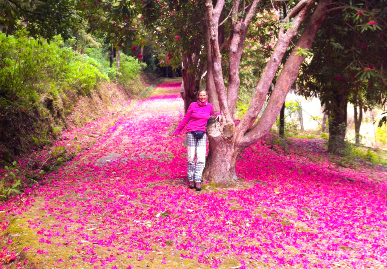 Madeira à la Christa – unsere Klassiker! 

Wir wandern entlang von Levadas, tauchen ein in die vielfältige Vegetation der Insel und erhalten Impressionen von den wunderbaren Küsten und dem mächtigen Atlantik. Die verschiedenen Regionen der Insel werden auf abwechslungsreichen Touren erkundet und durch das Wissen unseres lokalen Guides ergänzt. Unsere Gastgeberfamilie rund um Christa, Gerald und Raimund, gemeinsam mit Ihrem Team, schaffen bei den Wanderungen und auf ihrer Quinta eine besondere Atmosphäre. In unserer liebevoll geführten Unterkunft werden wir mit saisonalen Produkten aus dem eigenen Anbau verköstigt und genießen von dort aus einen atemberaubenden Panoramablick über das offene Meer.

Gemeinsam mit unserem langjährigen Partner @weltweitwandern haben wir diese Reise für Euch zusammengestellt – sie ist eine unvergessliche Entdeckungsreise durch Madeiras beeindruckende Natur und faszinierende Kultur.

#madeiraalachrista #wanderklassiker #madeirawandern #weltweitwandern #madeirawandermitchrista