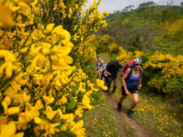 Frühling ist Wanderzeit. Jetzt planen, später genießen.
#wanderfrühling #urlaubsplanung