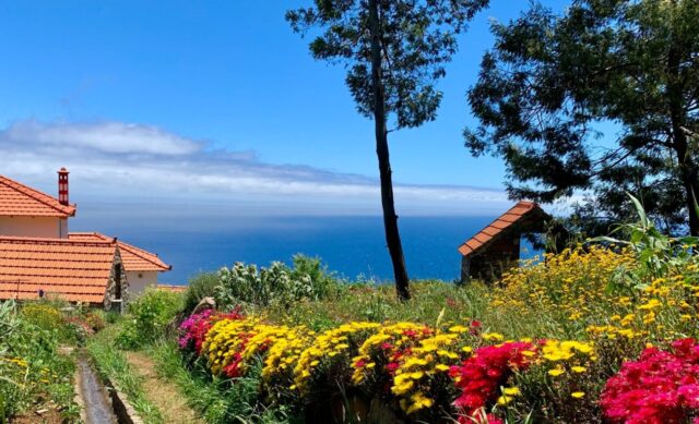 Der Frühling zeigt Madeira von seiner farbenfrohsten Seite 🌸 Blühende Wege und ideale Wanderbedingungen.
 #blumeninsel #frühlingaufmadeira