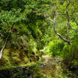 Die versteckte Levada